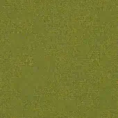 Lime - cod 15_13